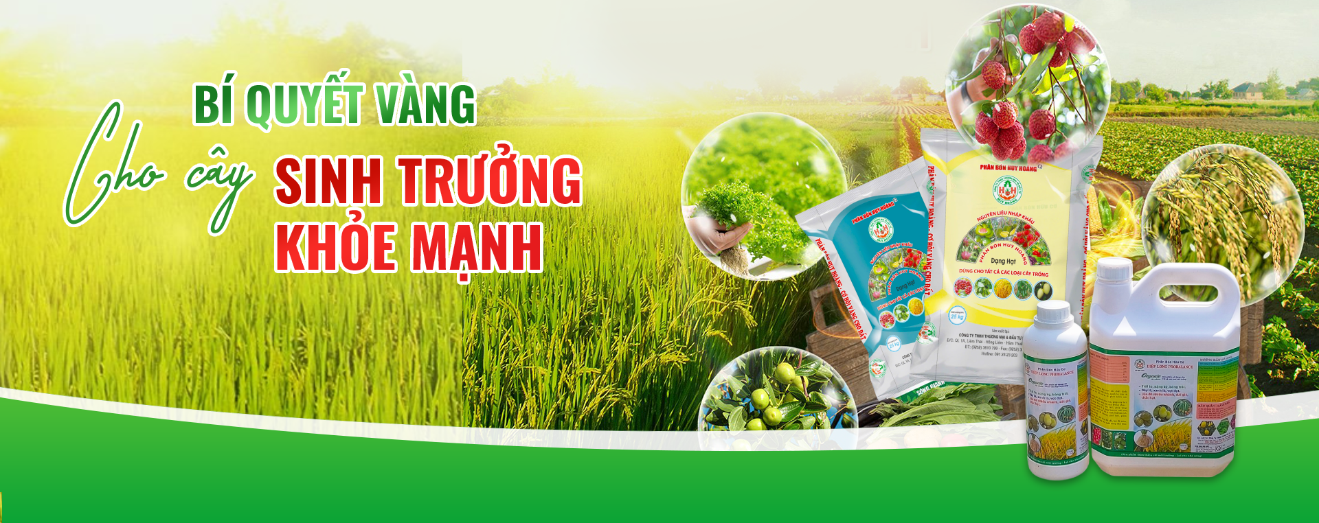 /Uploads/images/Banner/1.png'/Uploads/images/Banner/2f.png'/Uploads/images/Banner/3.png'/Uploads/images/Banner/4.png'/Uploads/images/Banner/5.png'5