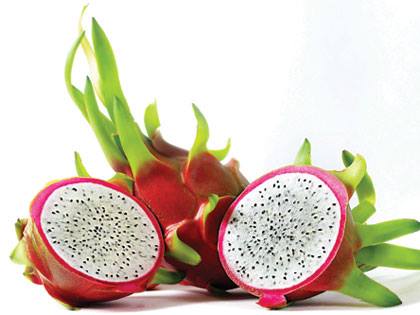 CÔNG TY PHÂN BÓN HUY HOÀNG HỖ TRỢ TIÊU THỤ THANH LONG